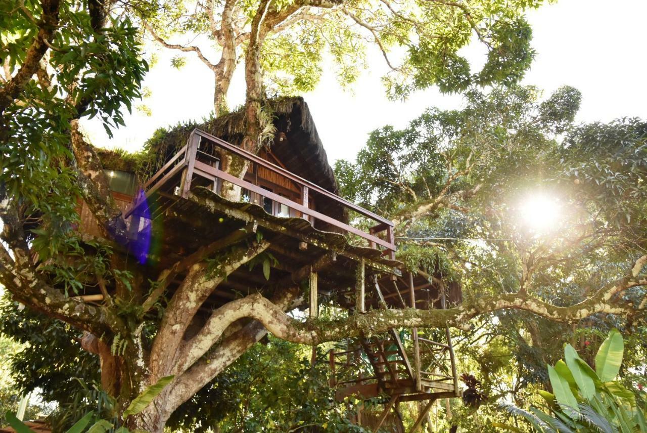 מלון איטה קרה Art Jungle מראה חיצוני תמונה